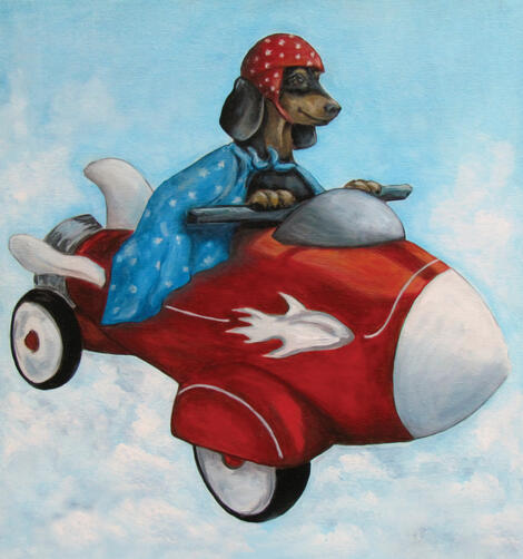 Elvis Flies for K9 Air