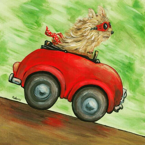 Fast Yorkie